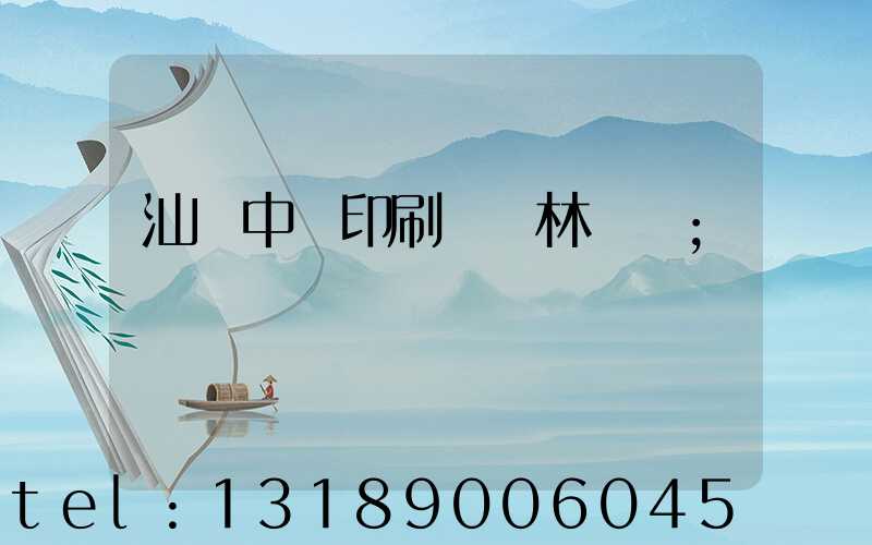 汕頭中興印刷廠 林偉國